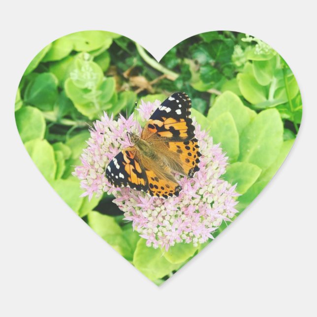 Monarch Butterfly on Stonecrop Flowers Heart Sticker (Front)