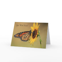 Monarch Butterfly on Yellow Sunflower