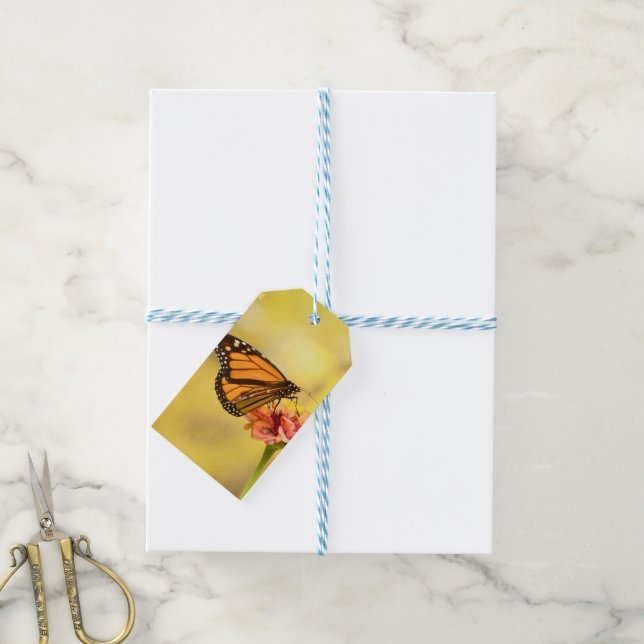 Monarch Butterfly on Zinnia Gift Tags (With Twine)