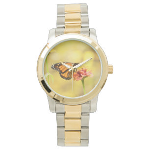 Monarch Butterfly on Zinnia Watch
