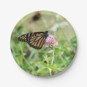 Monarch Butterfly Paper Plate