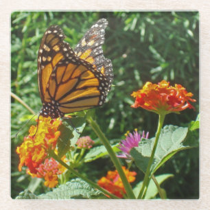Monarch Butterfly Photo Bright Flowers Nature Glass Coaster