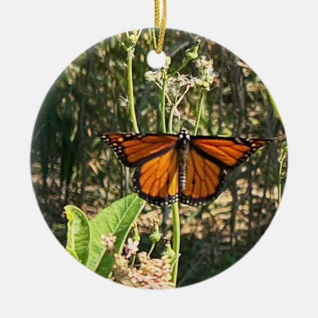 Monarch Butterfly Photo Ornament  (Front)
