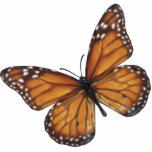 Monarch Butterfly Photo Sculpture Keychain<br><div class="desc">Monarch Butterfly vector art</div>