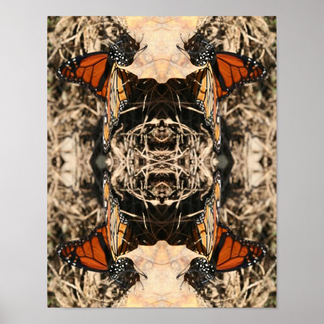 Monarch Butterfly Posing Nature Abstract  Poster (Front)
