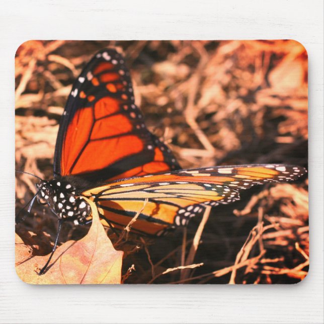 Monarch Butterfly Posing Nature  Mouse Pad (Front)