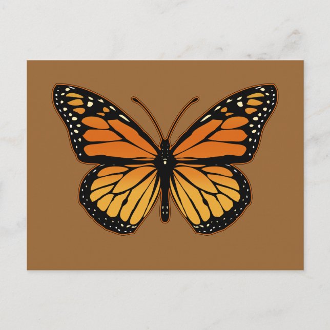Monarch Butterfly Postcard (Front)