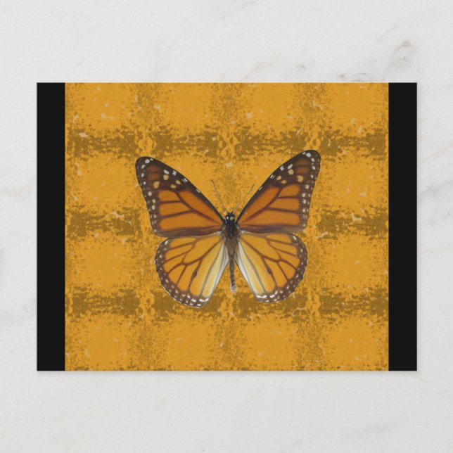 Monarch Butterfly Postcard (Front)