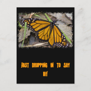 Monarch Butterfly Postcard