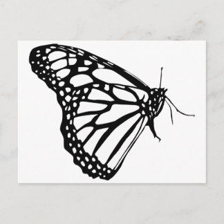 Monarch Butterfly Postcard