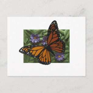 Monarch Butterfly Postcard