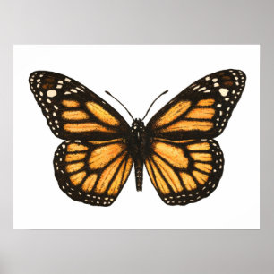 Monarch butterfly poster