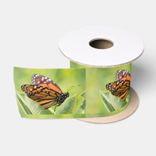 Monarch Butterfly Ribbon Satin Ribbon