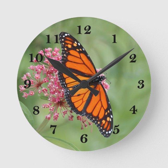 Monarch Butterfly Round Clock (Front)