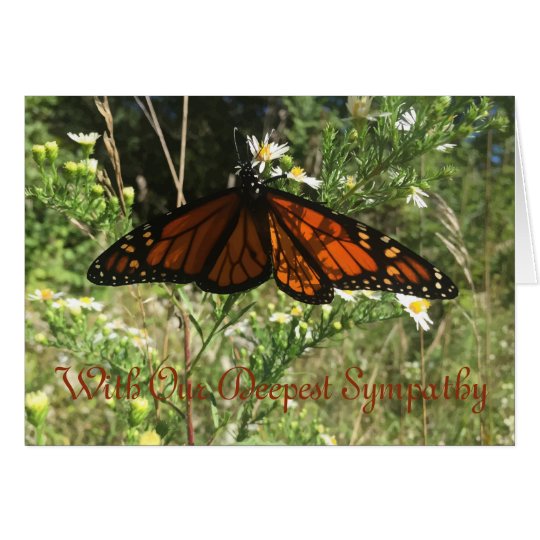 Monarch Butterfly. Sorry for your loss. Card