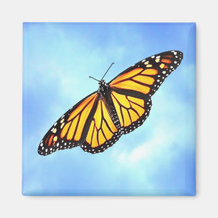Monarch Butterfly Square Magnet