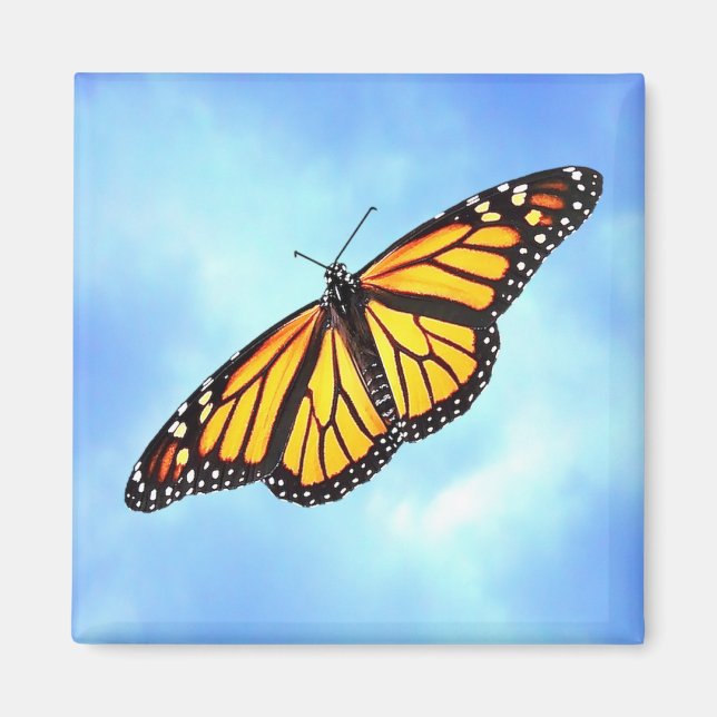 Monarch Butterfly Square Magnet (Front)