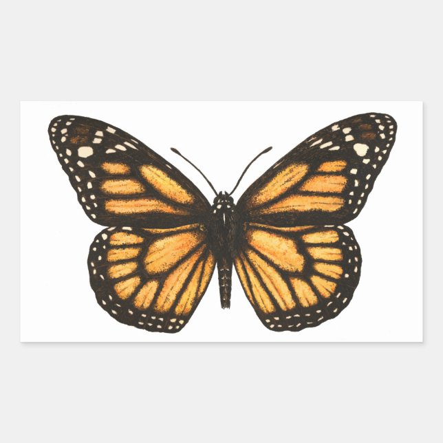 Monarch butterfly sticker (Front)