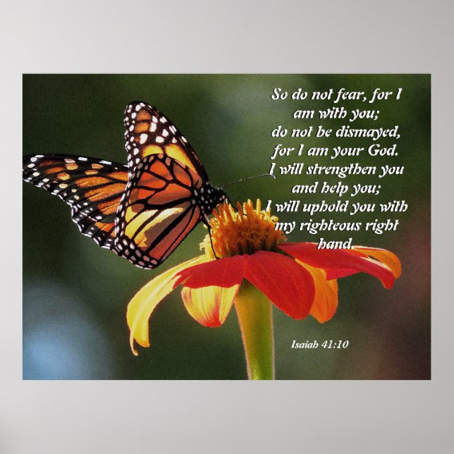 Monarch Butterfly Sunflower Flower Poster (Front)