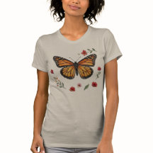 Monarch Butterfly
