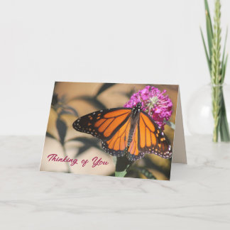 Monarch Butterfly Thinking of You Card