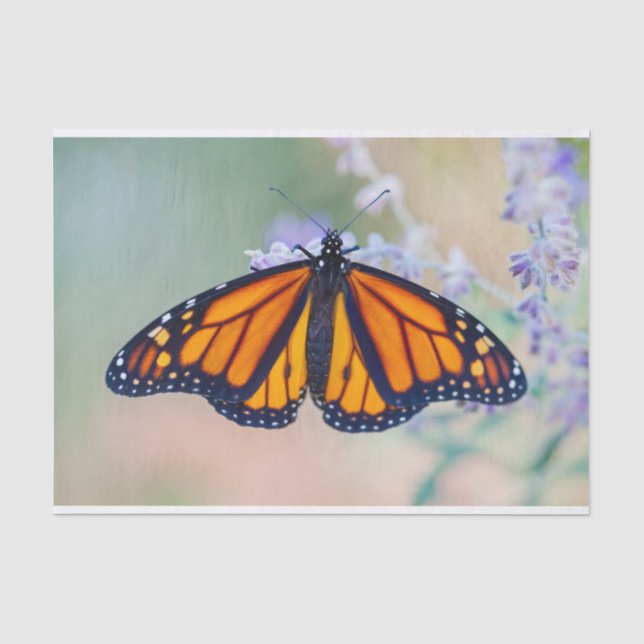 Monarch Butterfly Tissue Paper (Front)