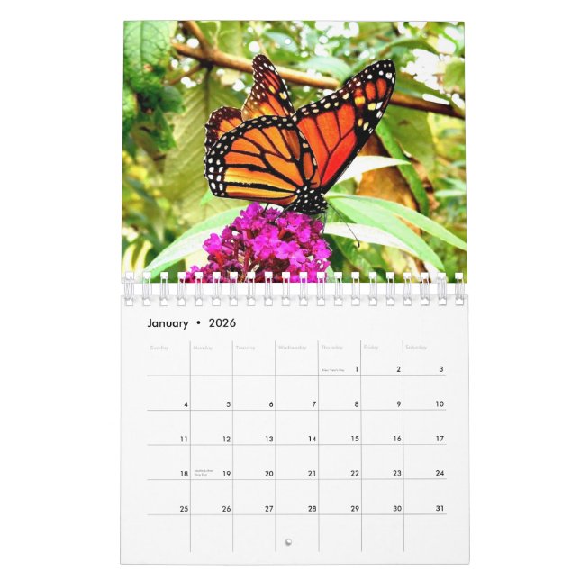 Monarch Butterfly Wall Calendar (Jan 2026)