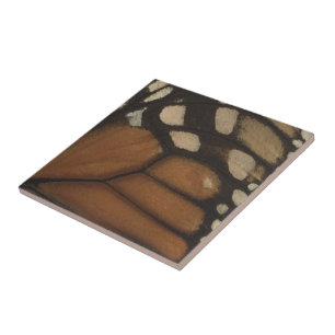 Monarch Butterfly Wing Close Up  Tile