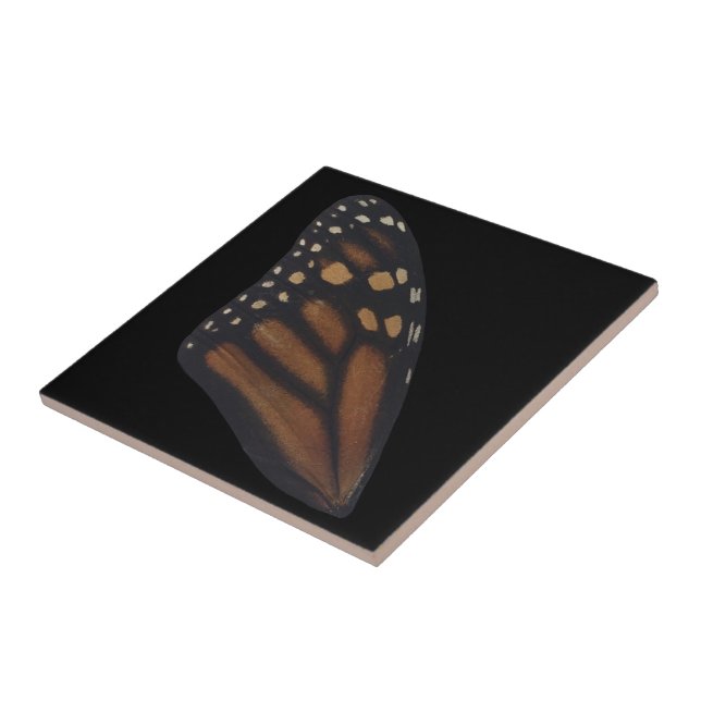 Monarch Butterfly Wing On Black  Tile (Side)