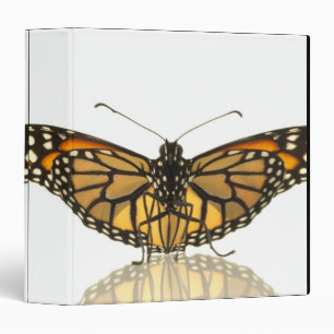 Monarch butterfly with wings spread binder