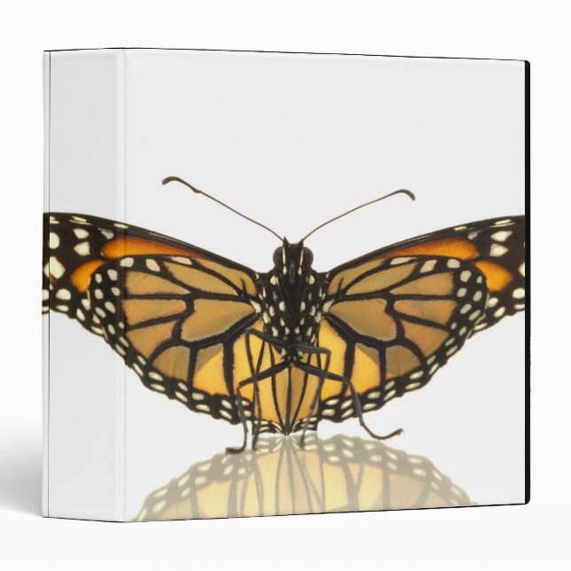 Monarch butterfly with wings spread binder (Front/Spine)