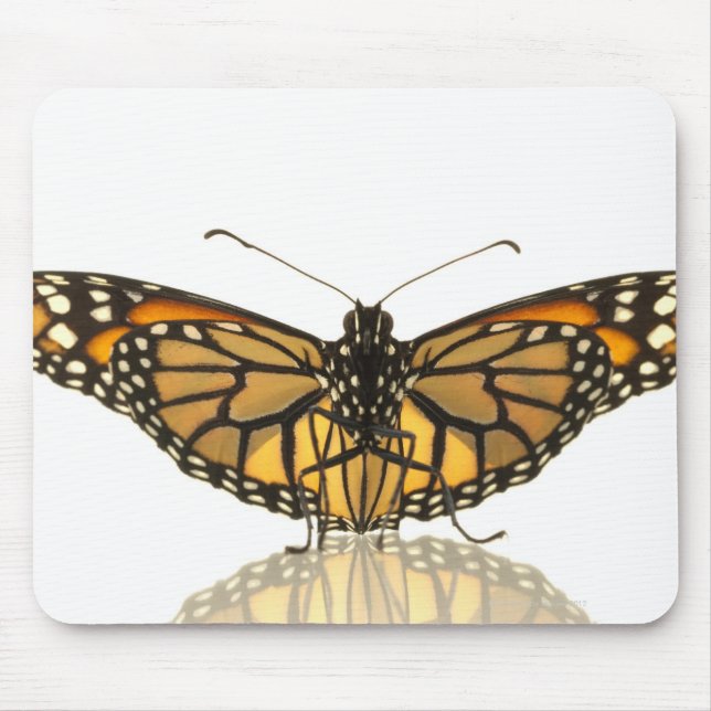 Monarch butterfly with wings spread mouse pad (Front)