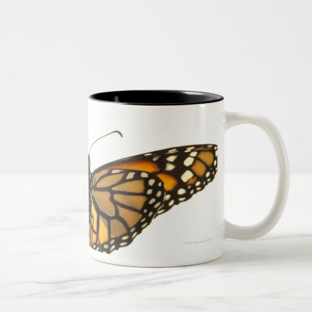 Monarch butterfly with wings spread Two-Tone coffee mug (Right)