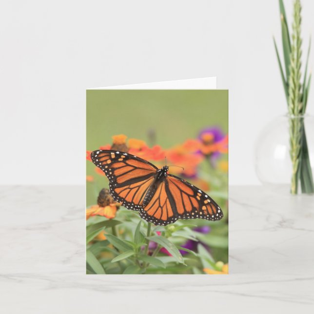 Monarch Card (Front)