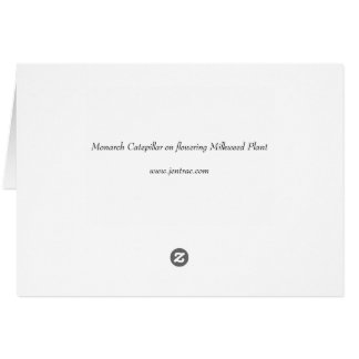 Monarch Catepillaar on Flowering Milkweed Plant