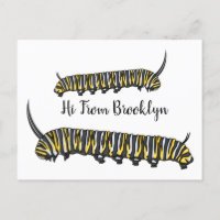 Monarch caterpillar cartoon illustration