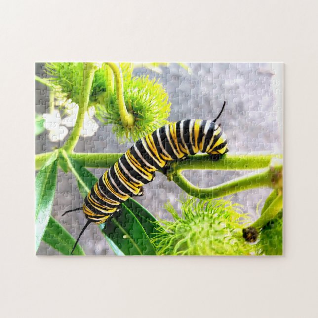 Monarch Caterpillar Jigsaw Puzzle (Horizontal)
