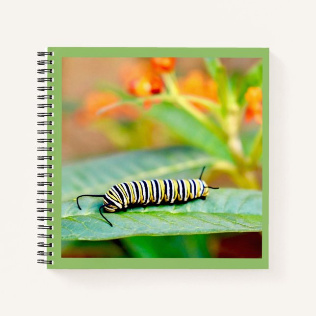Monarch Caterpillar Spiral Notebook (Front)