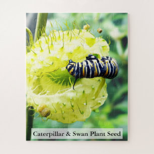 Monarch Caterpillar & Swan Plant Seed 56 Pcs Jigsaw Puzzle