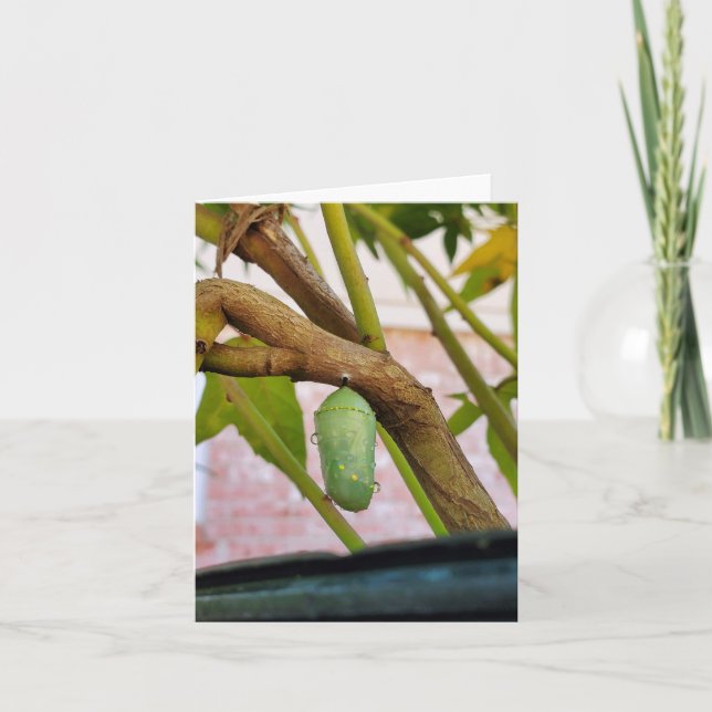 Monarch chrysalis note card (Front)