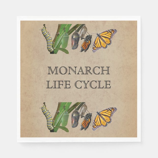 MONARCH LIFE CYCLE NAPKIN (Front)
