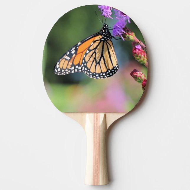 Monarch lunch ping pong paddle (Front)