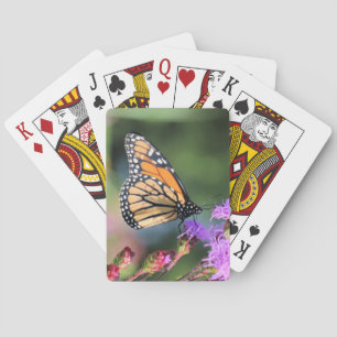 Monarch lunch playing cards
