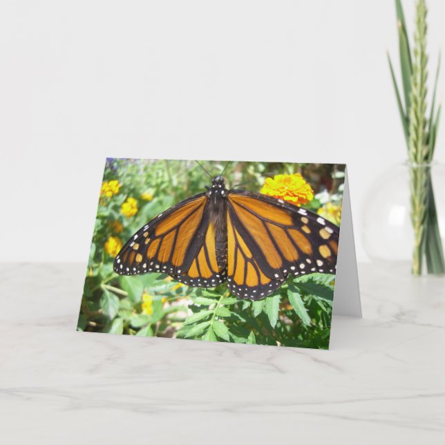 Monarch Majesty (4) Greeting Card (Front)