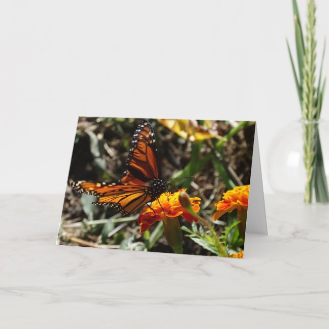 Monarch & Marigold Card (Front)