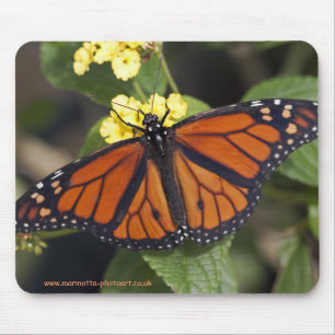 Monarch Mousemat Mouse Pad