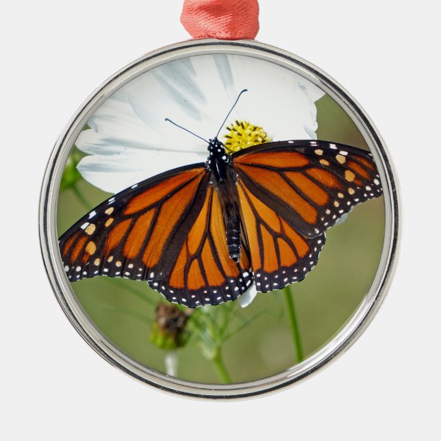 Monarch on Cosmos Metal Ornament (Front)