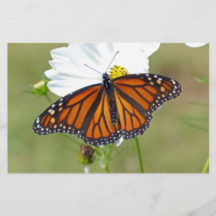 Monarch on Cosmos Stationery