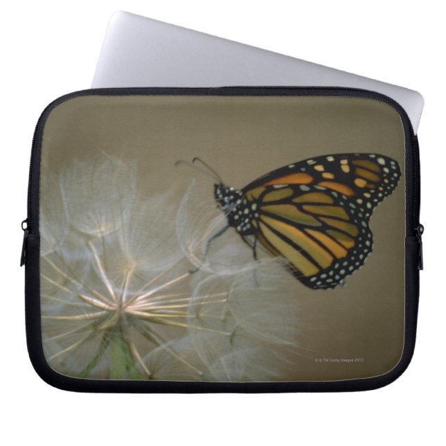 Monarch on Dandelion Laptop Sleeve (Front)
