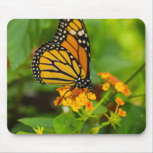 Monarch On Lantana Mouse Pad